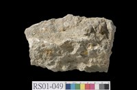 藏品(石灰岩)的圖片